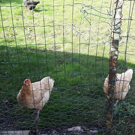 Feriehus Gite Familial Avec Terrasse, Jardin Clos, Barbecue, Cheminee Et Equipements Pour Enfants - Fr-1-376-110