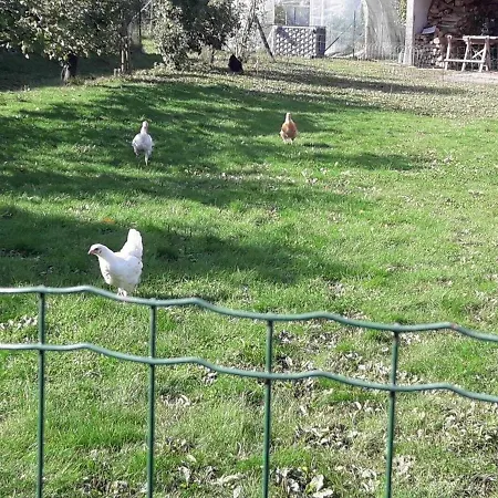 Gite Familial Avec Terrasse, Jardin Clos, Barbecue, Cheminee Et Equipements Pour Enfants - Fr-1-376-110 Feriehus Baincthun